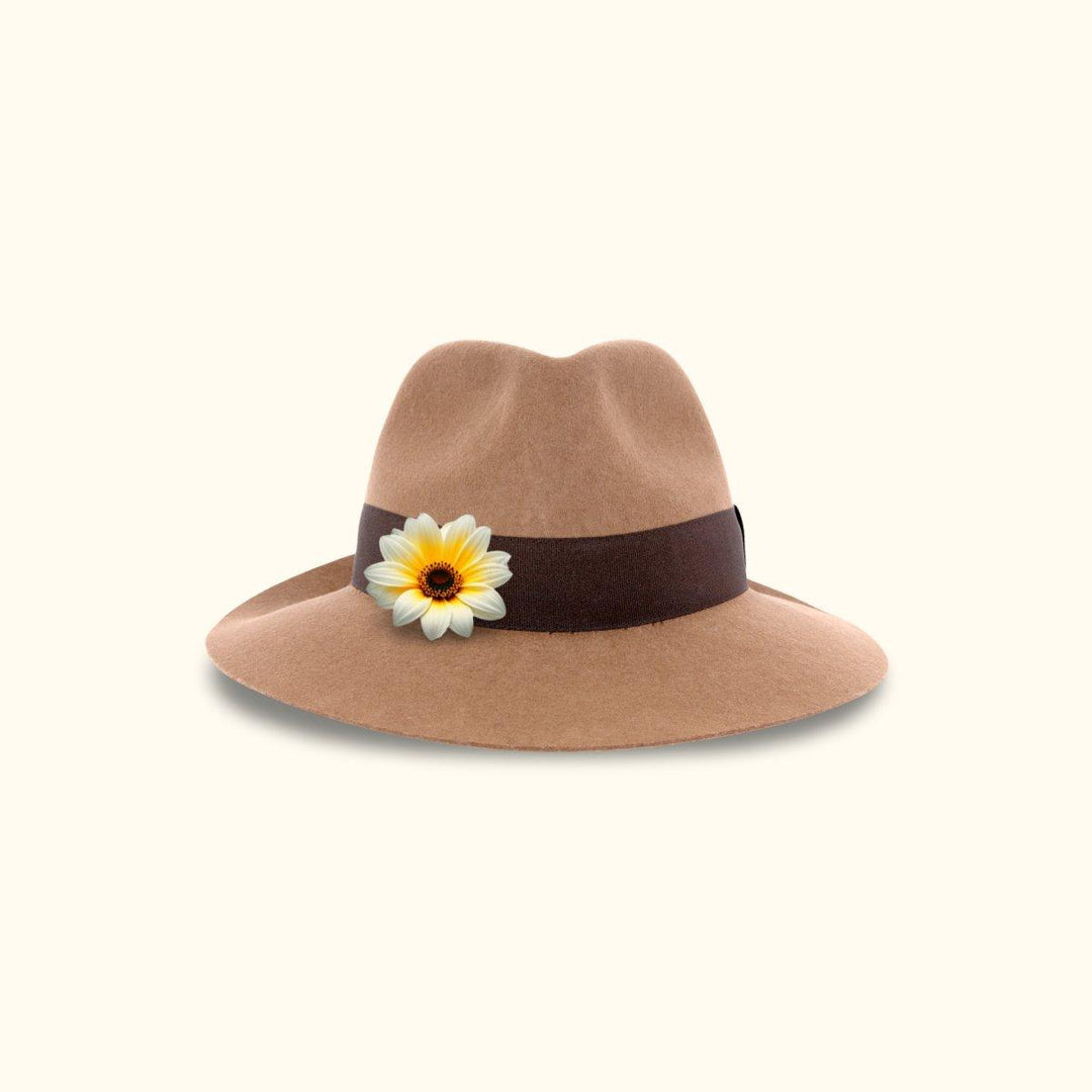 Accessoires-Calora