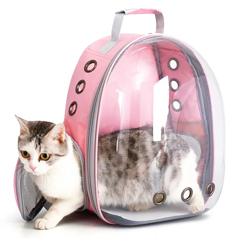 Boltas | Dieren Reis Rugzak voor Katten of Honden-Elektronica/Gadgets-Calora-Groen-40x16x34cm-Calora