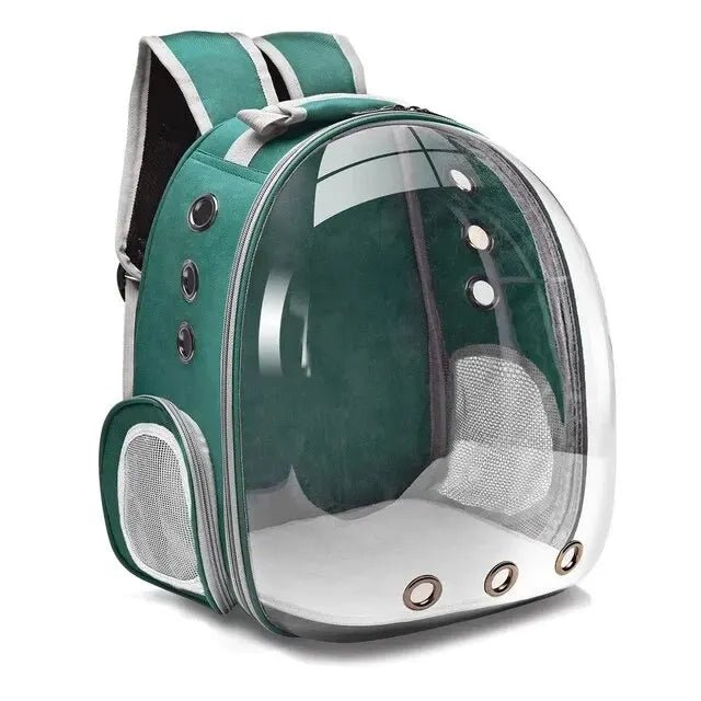 Boltas | Dieren Reis Rugzak voor Katten of Honden-Elektronica/Gadgets-Calora-Groen-40x16x34cm-Calora