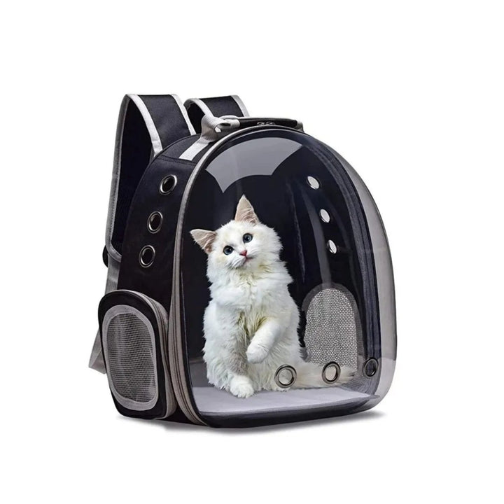 Boltas | Dieren Reis Rugzak voor Katten of Honden-Elektronica/Gadgets-Calora-Groen-40x16x34cm-Calora